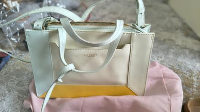 Radley Tote Bag and Purse set