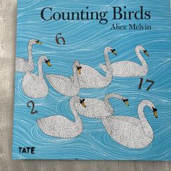 Counting Birds Alice Melvin