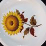 Selecton Of Wall Plates Image 5