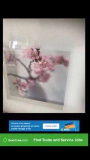 Framed Floral Prints