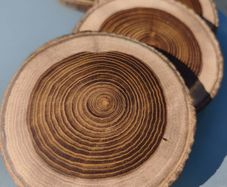 Coasters live edge