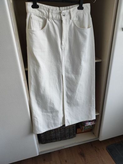 Massimo Dutti Skirt  size 12