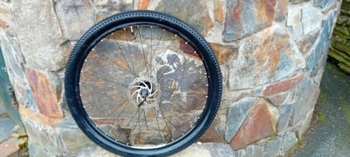 29 Inch Front Disc Wheel