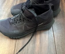 nike Pegasus gtx gore tex trail runner