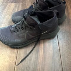nike Pegasus gtx gore tex trail runner
