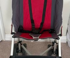 Special needs buggy