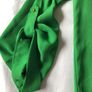 Green Blouse Image 3