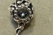 Pandora charm