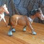 Horses Image 4