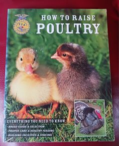 How To Raise Poultry / Christine Heinrichs / 2009