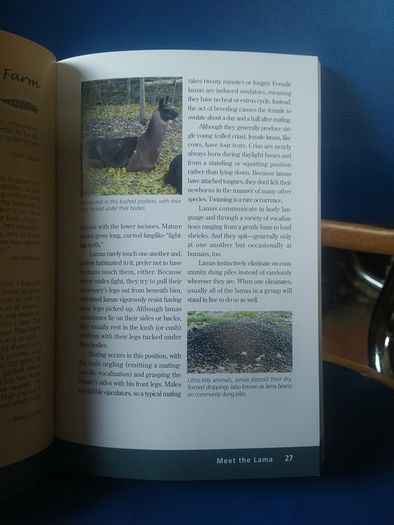 Llamas and Alpacas book