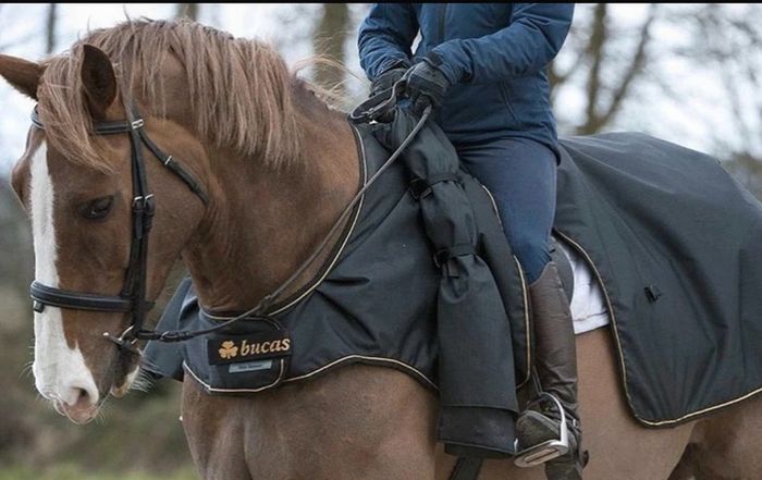 Riding Rug Waterproof New Bucas