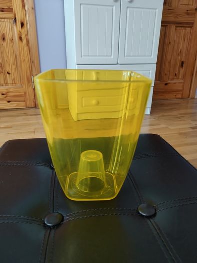 Special Orchid Vase