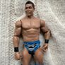 WWE Mattel The Miz Series 6 Basic Wrestling Action Figure Used Please look at the pictures Image 3