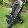 Buggy Image 2