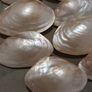 Home Decor Image 3