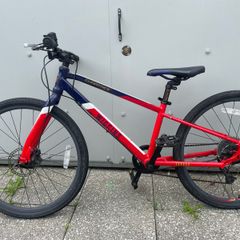 Wiggins Chartres 24 Disc bike
