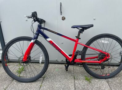 Wiggins Chartres 24 Disc bike
