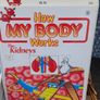 How My Body Works Image 6