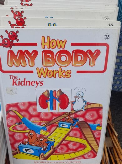 How My Body Works
