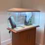 Aquael Leddy 105L Tank and unit and filter Image 5