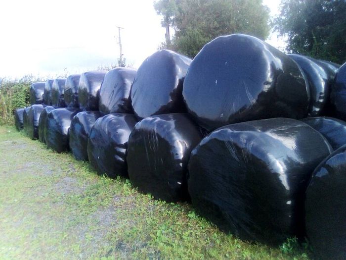 Bales silage100