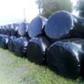 Bales silage100 Image 2