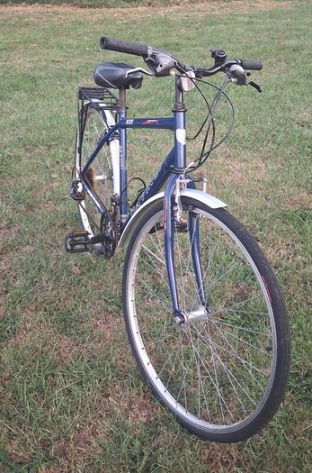 Adult Bike
