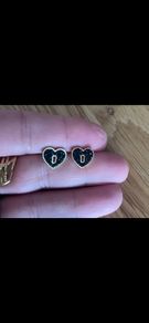 Stainless steel earrings
