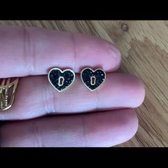 Stainless steel earrings
