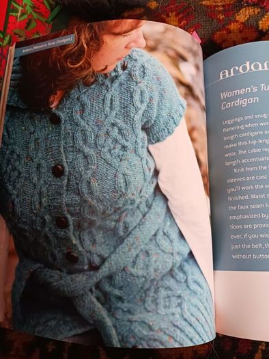 Contemporary Irish Knits/ Carol Feller