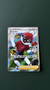 Pokemon Card: Ball Guy - 196/190