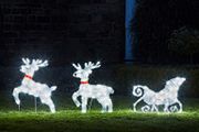Plush LED Reindeer Sleigh Outdoor Christmas Light