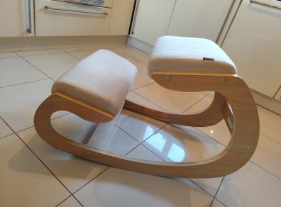 Ergonomic Chair