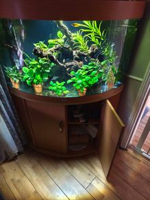 fish tank set up