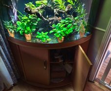 fish tank set up