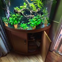 fish tank set up