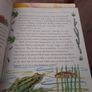 Hardback Fairytale books price E1 or E2 Image 8