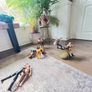 WWE Wrestling Figures Bundle Image 7