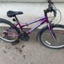 bikes Image 4