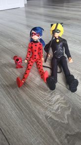 ladybug and cat noir