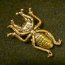 3 brass beetles. Image 4