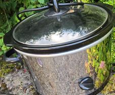Slow cooker