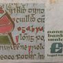 1981 Irish 1 Punt Pound Note Image 2