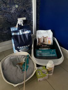 Cat/kitten Starter pack