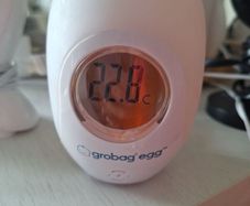 GroEgg Digital Room Thermometer