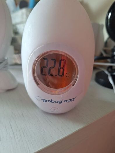 GroEgg Digital Room Thermometer