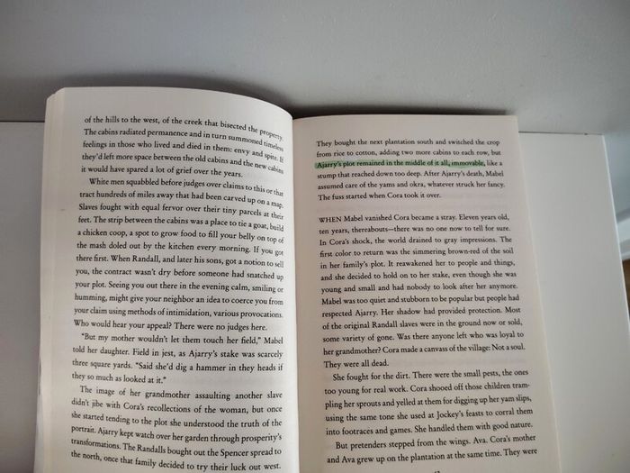 The Underground Railroad - Colson Whitehead