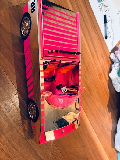 34 LOL dolls + 5 OMG dolls + 9 babies +5 pets & 159 accessories & a LOL doll limited edition car with pool and disco!