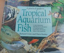 Tropical Aquarium Fish
